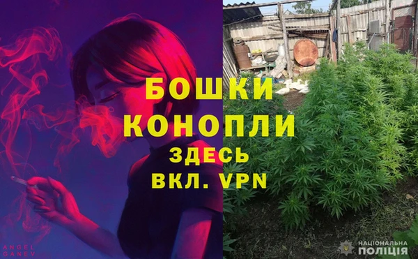 прущие крисы Володарск