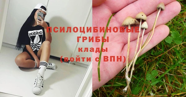 сатива Верхний Тагил