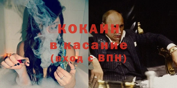 сатива Верхний Тагил