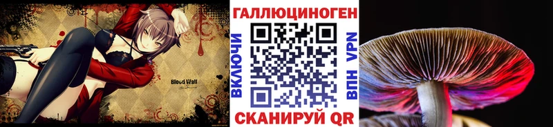 OMG рабочий сайт  Кадников  Псилоцибиновые грибы мицелий 